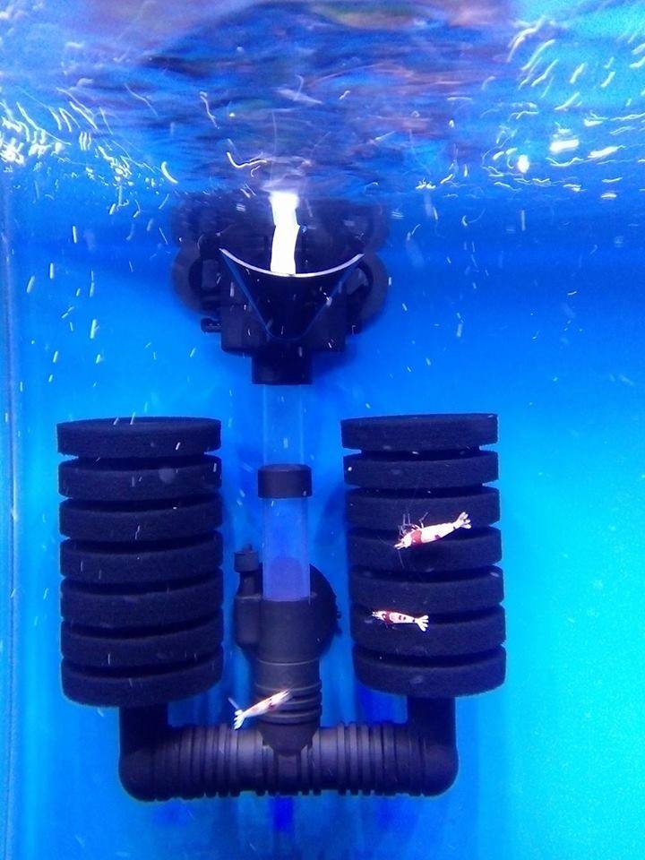 Aquael Aquael PAT Mini Binnenfilter voor Aquaria tot 120 Liter