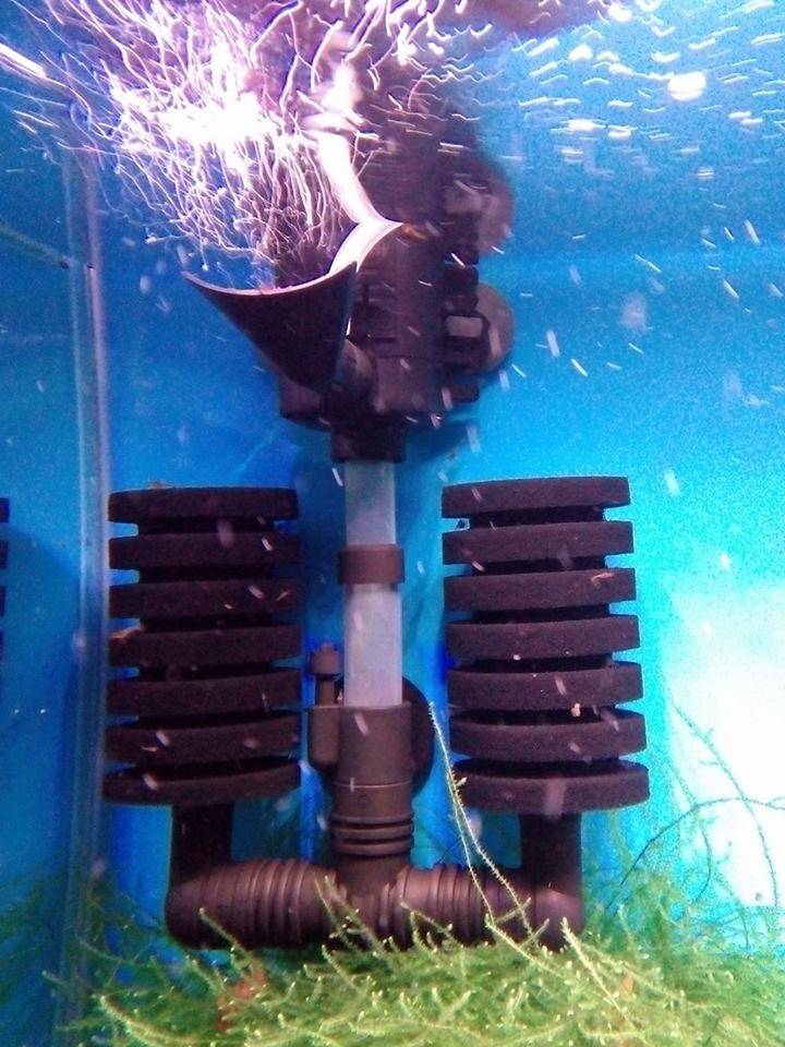 Aquael Aquael PAT Mini Binnenfilter voor Aquaria tot 120 Liter