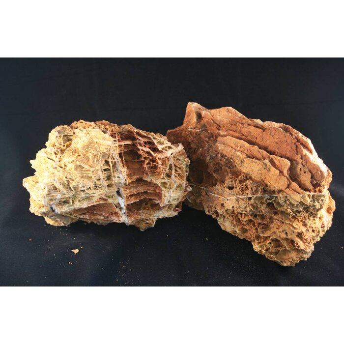 Onlineaquarium spullen Maple Leaf Rock