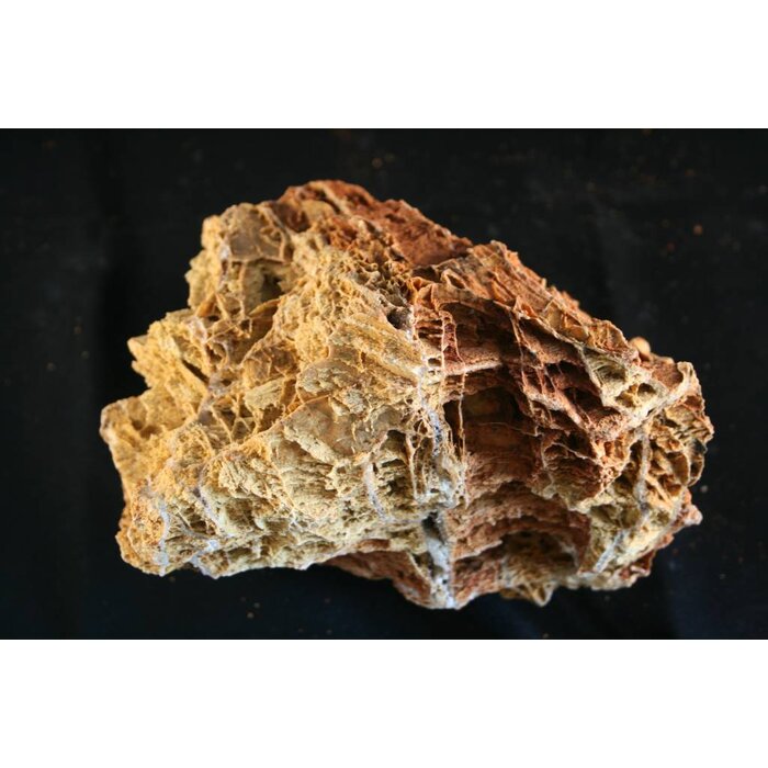 Onlineaquarium spullen Maple Leaf Rock