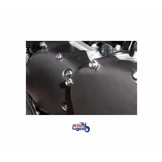 Vis de Carter de Moteur Inox (jeu complet)