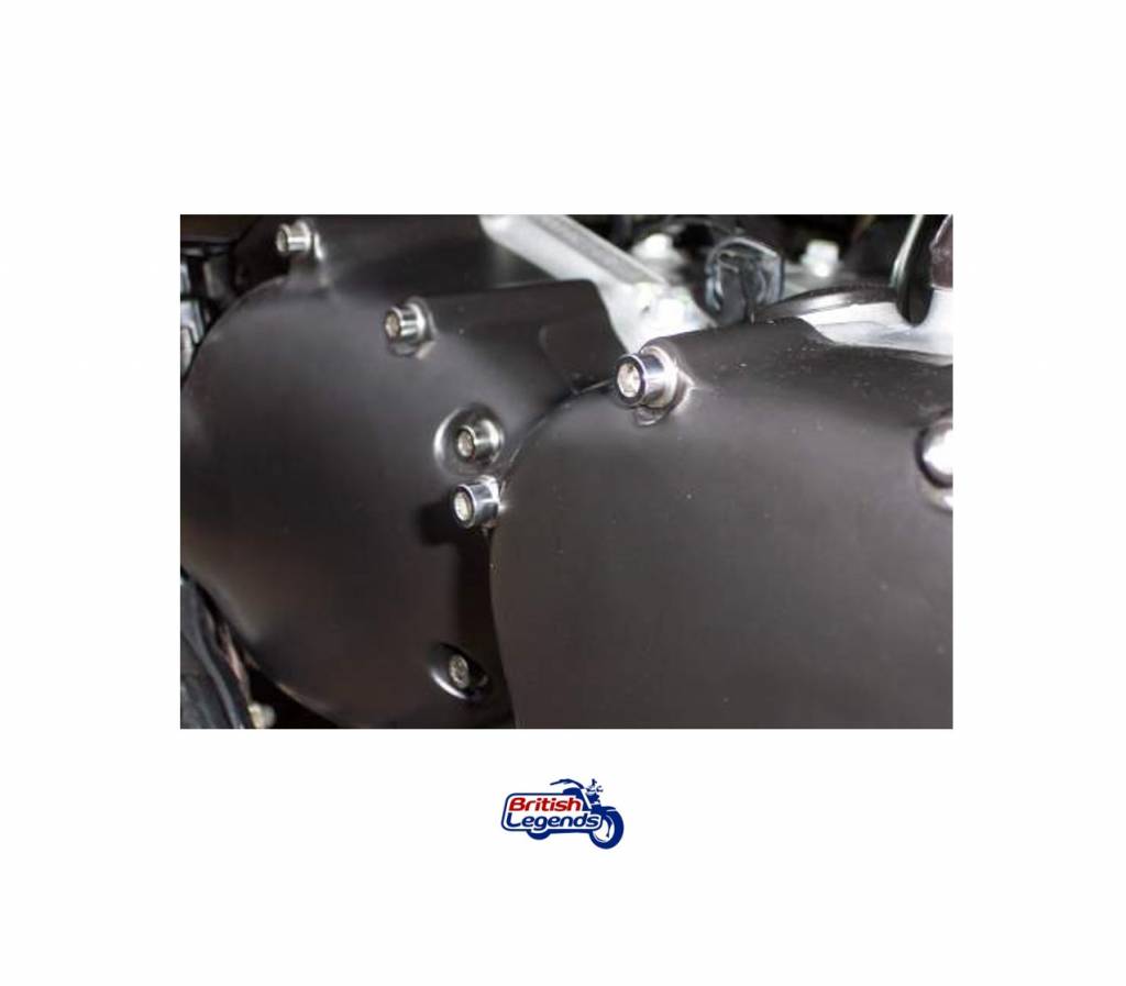 Vis de Carter de Moteur Inox (jeu complet)