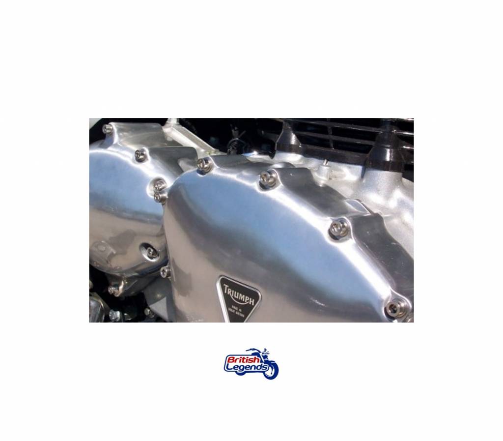 Vis de Carter de Moteur Inox (jeu complet)