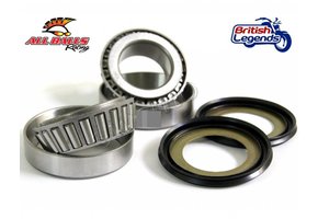 Rodillos Cónicos de Dirección