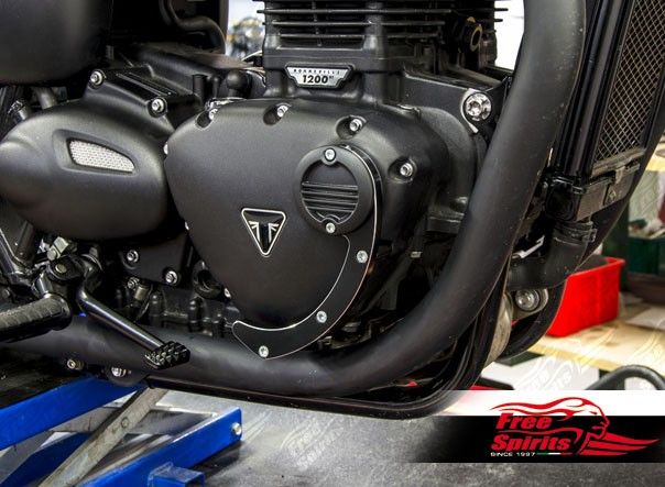 Protectores de motor para Triumph Twins 900/1200cc