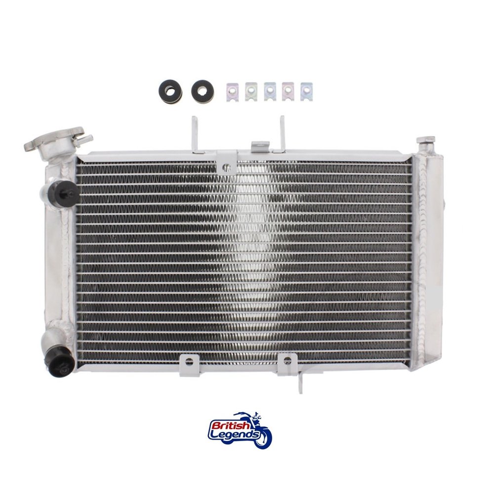 Grille De Radiateur SMB Moto Parts Pour Triumph Daytona 675 (2013-2016) - Noir - Neuf