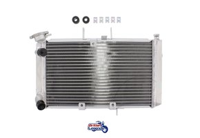 Radiateur de Rechange