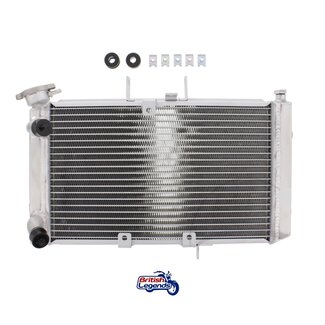 Radiateur de Rechange