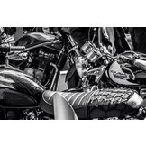 Luggage/ Helmet Retaining Net