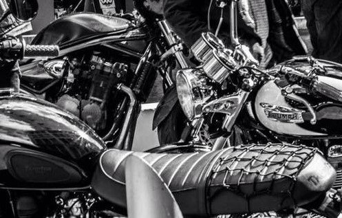 Red para Equipaje y Casco