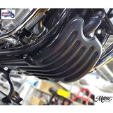 Sump Guard for Triumph Twins 900/1200