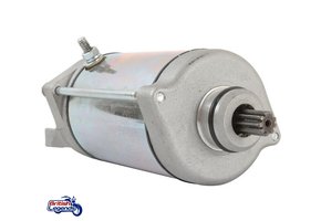 Starter Motor W650/W800