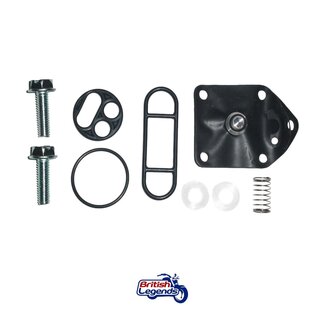 Fuel Tap Repair Kit W650