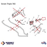 EVAP System Removal on Triumph Motorcycles