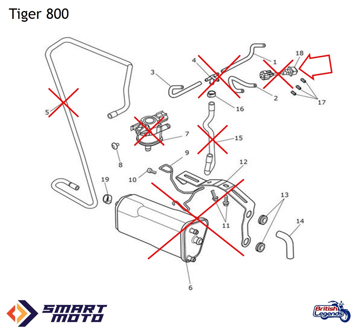 Eliminación del Sistema EVAP en Motos Triumph