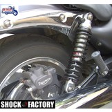 Shock Factory 2WIN para Triumph Street Cup