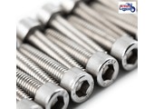Tornillos de Cárter Inox