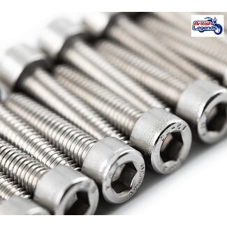 Stainless Steel Engine Bolts