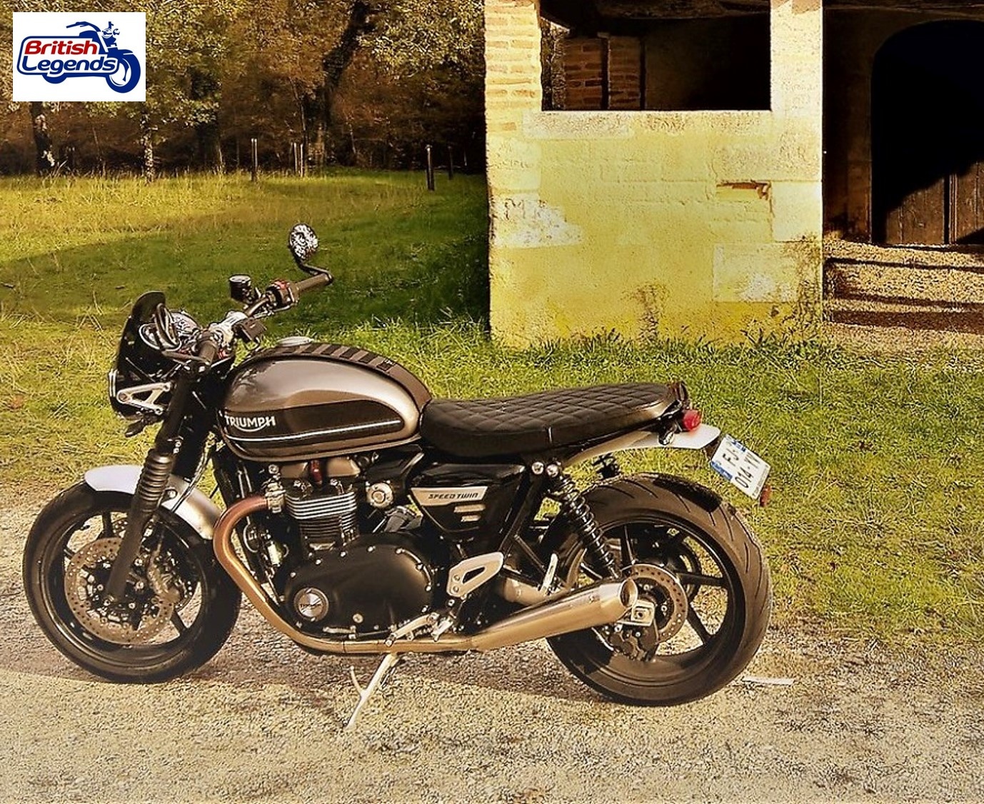 Porte-Plaque Court pour Triumph Speed Twin