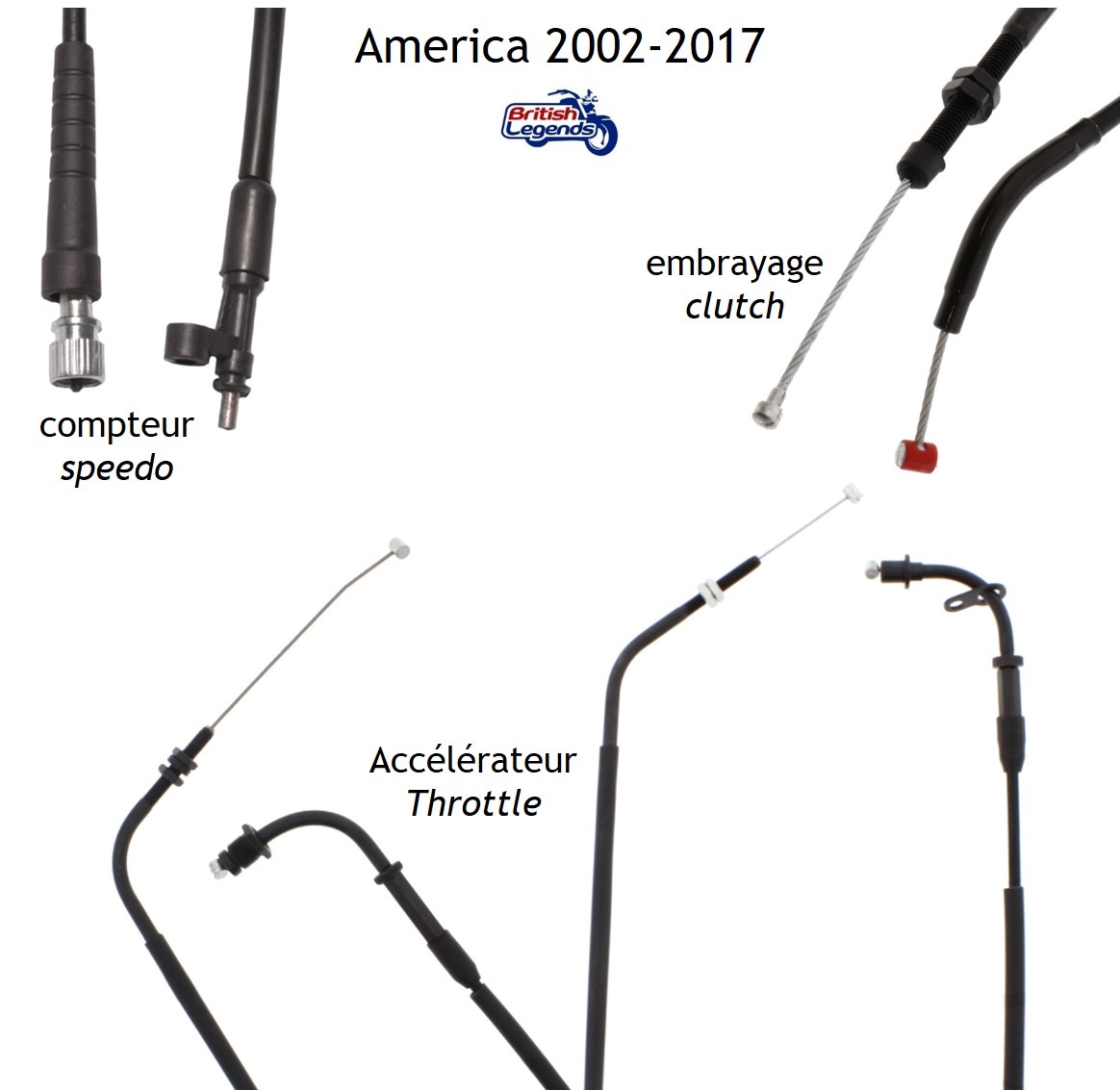 Cables de Rechange pour Triumph America