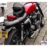 Protector de Piñón Streamliner para Triumph Twins