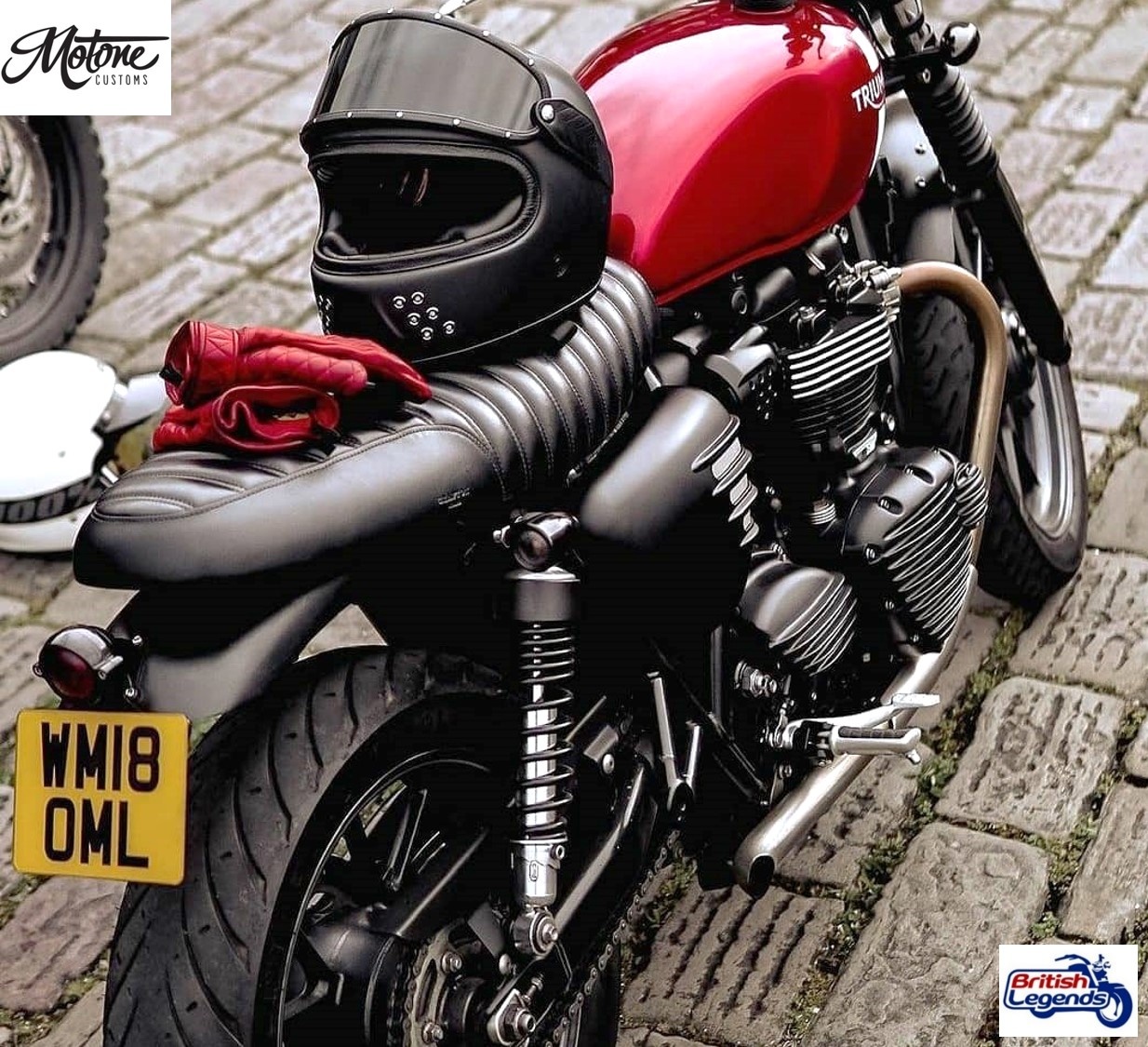 Protector de Piñón Streamliner para Triumph Twins