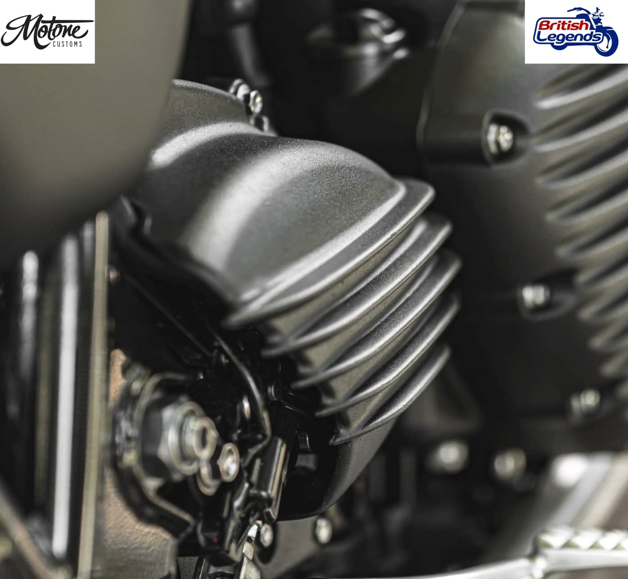 Protector de Piñón Streamliner para Triumph Twins