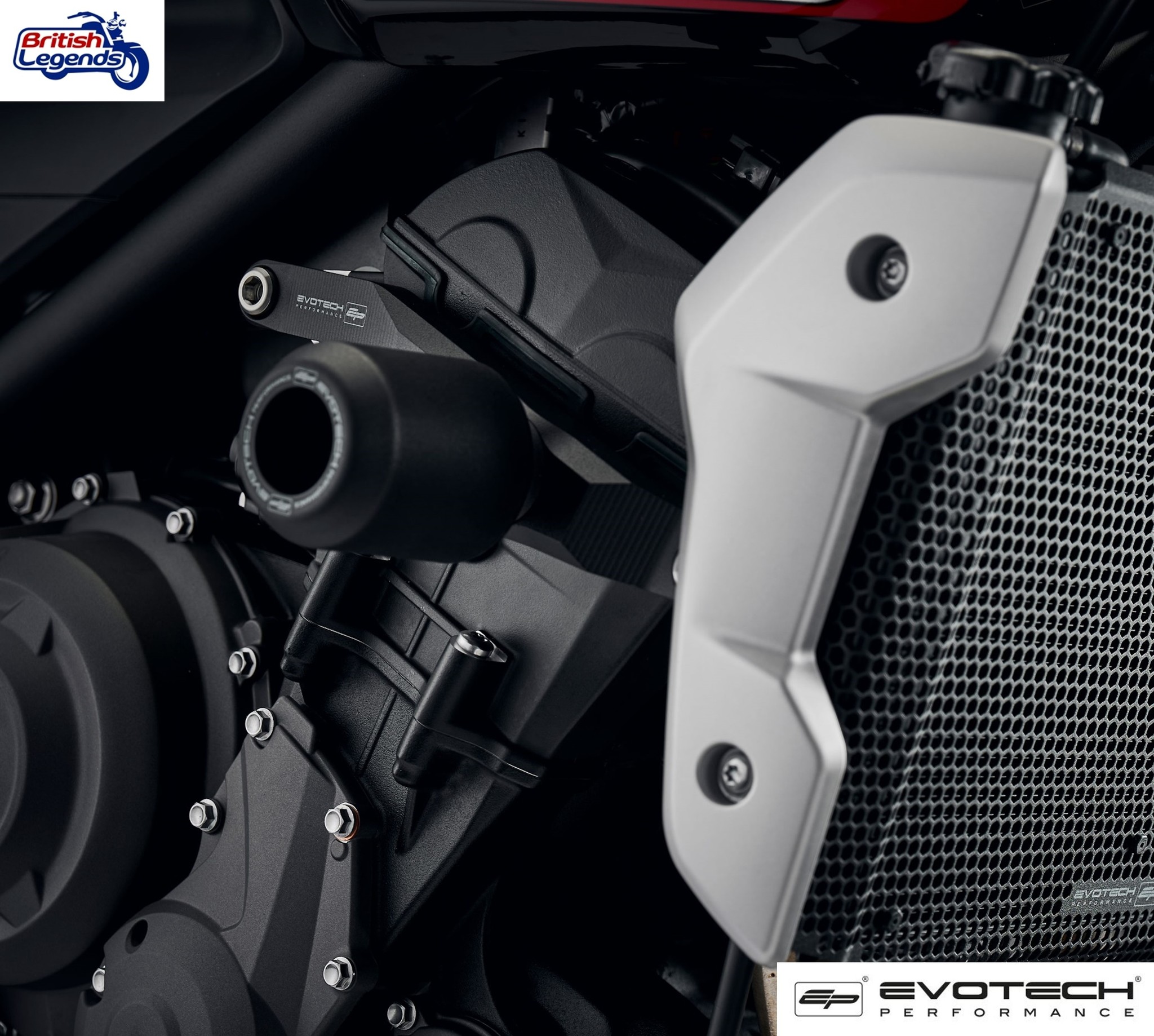 Protector de motor para Trident 660 y Tiger Sport 660/800