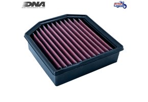 Air Filter Tiger 850/900