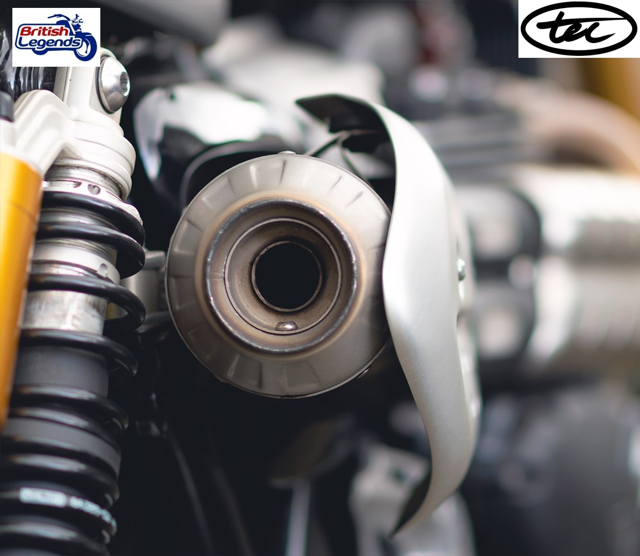 Silencieux Court Inox pour Triumph Scrambler 1200