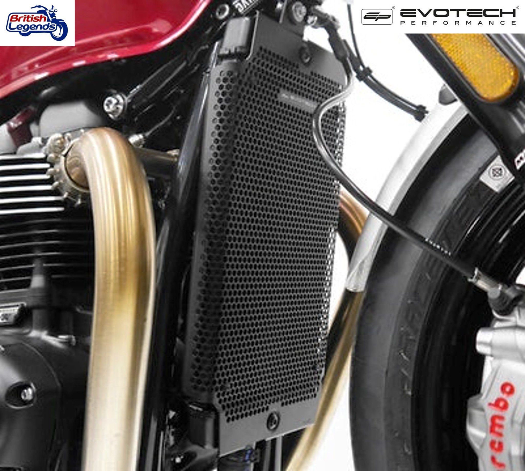 Protection de Radiateur Triumph Twins 900/1200cc