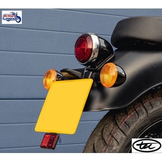 TEC Soporte Matrícula Meteor 350/650