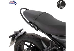 Grab Handle Trident 660