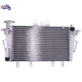 Radiateur de Rechange pour Motos Triumph