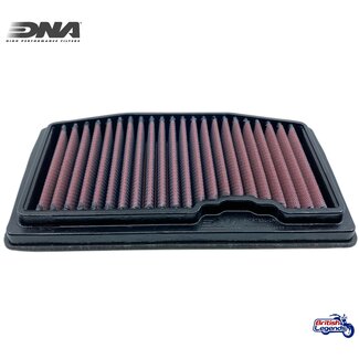 DNA DNA Filtro Triumph 660/765