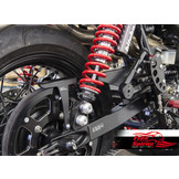 Cárter Correa Free Spirits