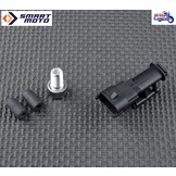 EVAP System Removal on Royal-Enfield