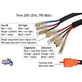 Arnés trasero "Plug & Play" para Triumph Twins