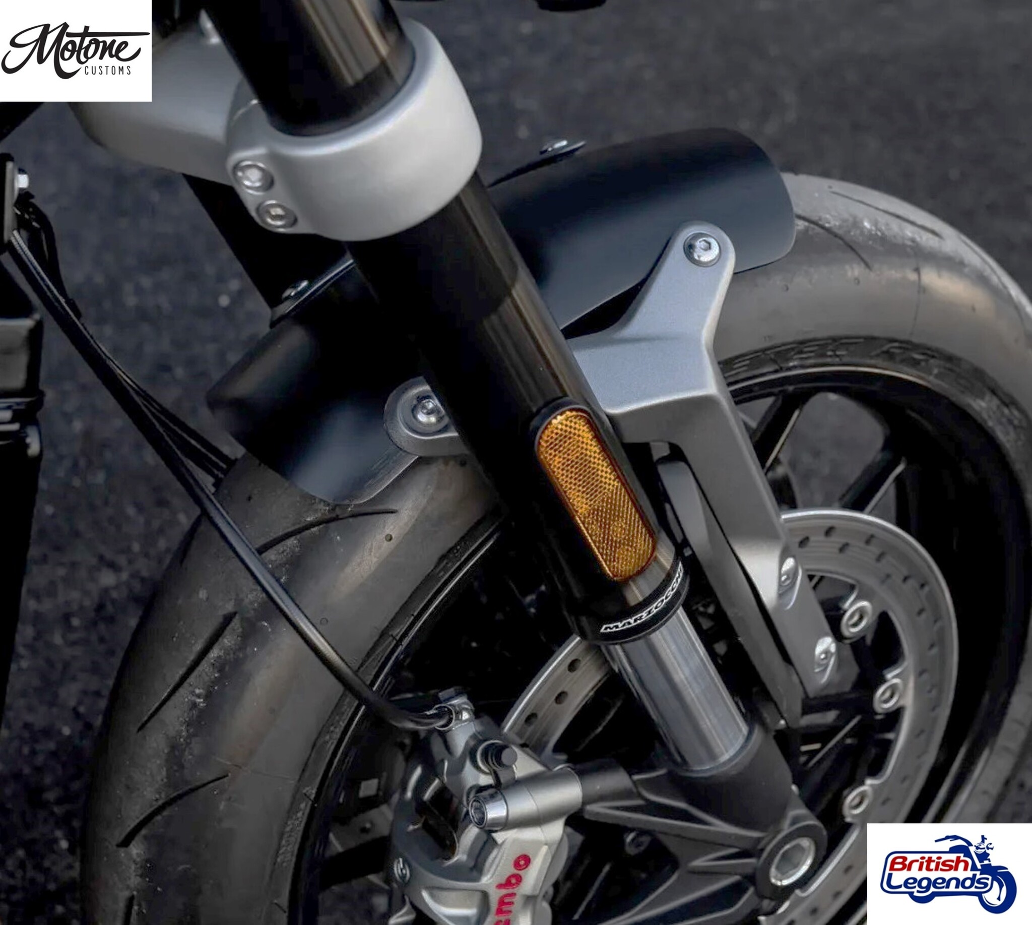 Short Front + Rear Fenders for Speed Twin 1200