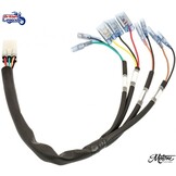 Faisceau Arrière "Plug & Play" pour Triumph Twins