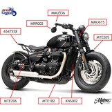 Embouts de Guidon pour Triumph Twins