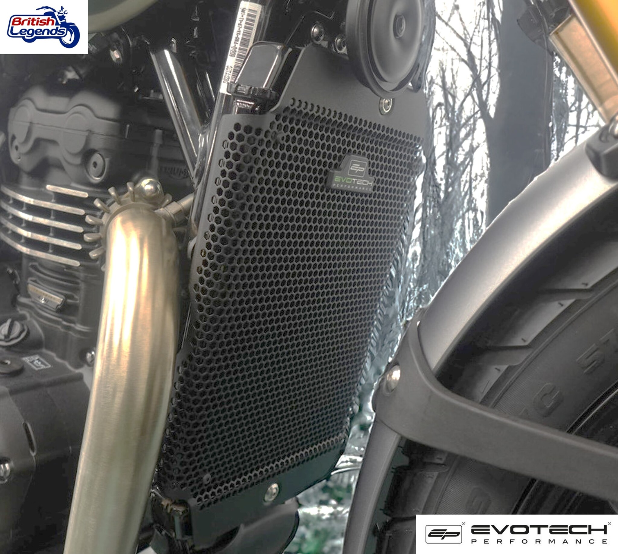 Protection de Radiateur pour Triumph 400cc