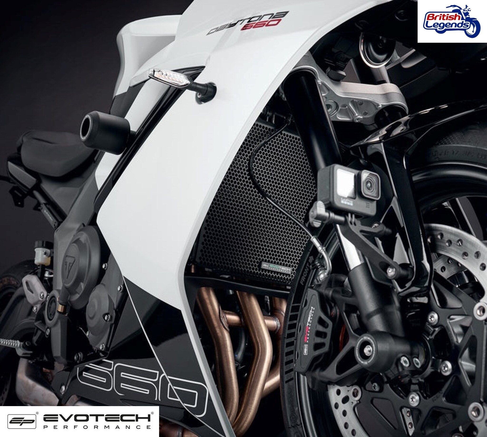 Protection de Radiateur pour Daytona 660