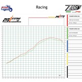 Zard Slip-On Silencer for Speed/Scrambler 400