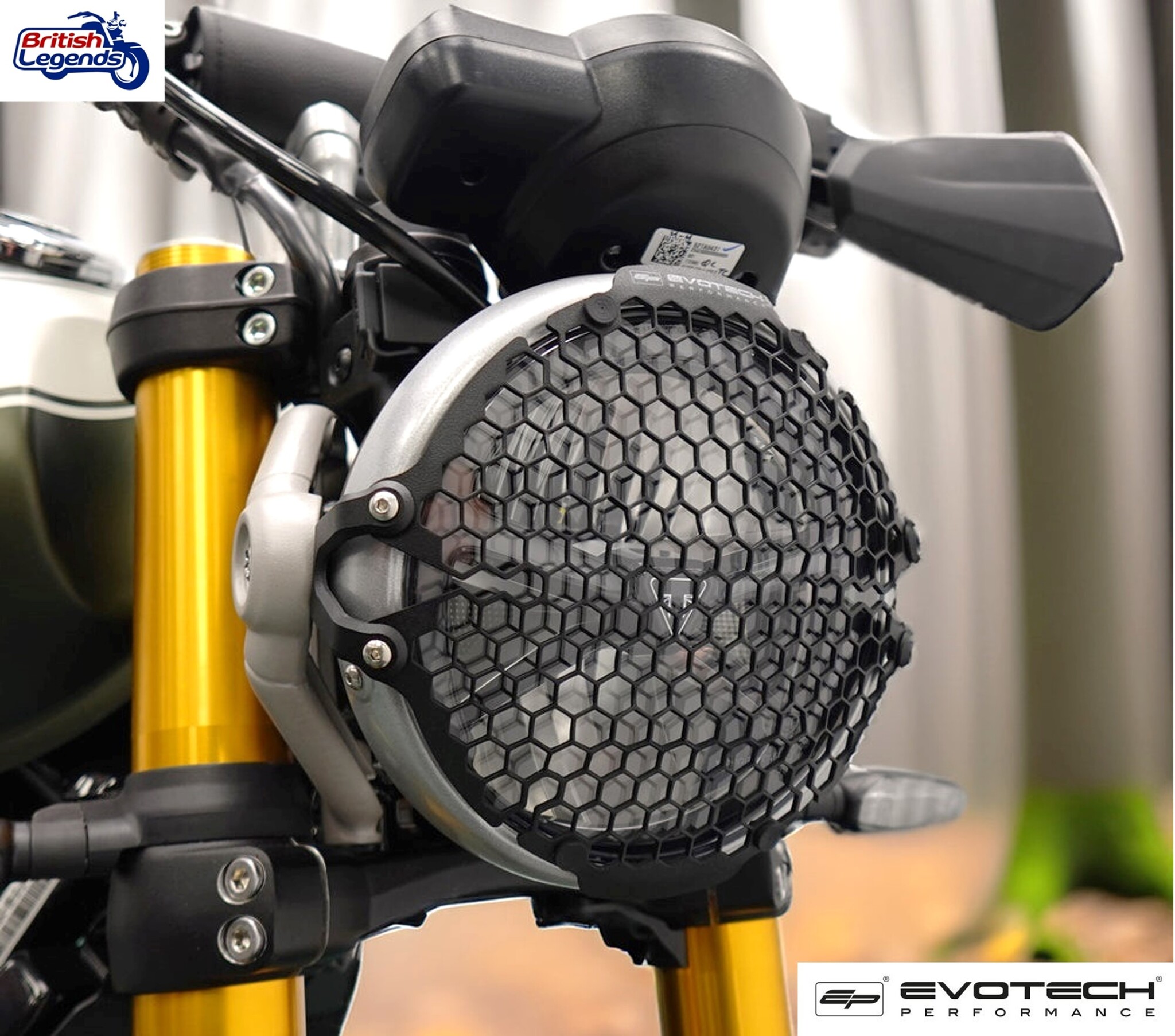 Protective Grille for Triumph Speed/Scrambler 400