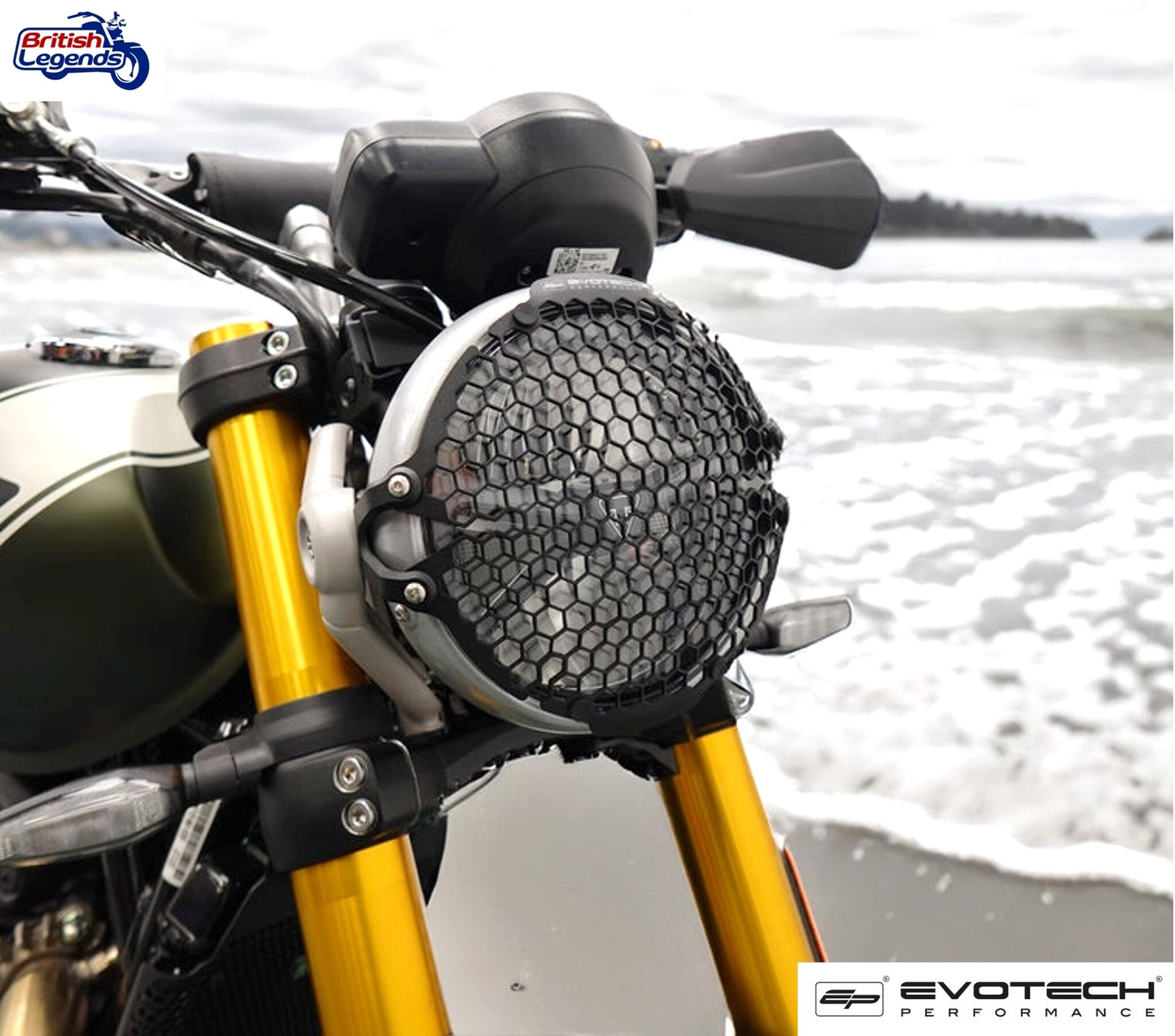 Protective Grille for Triumph Speed/Scrambler 400