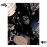 Indicador de Temperatura del Aceite Triumph