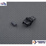 Eliminación del Sistema EVAP en Royal-Enfield