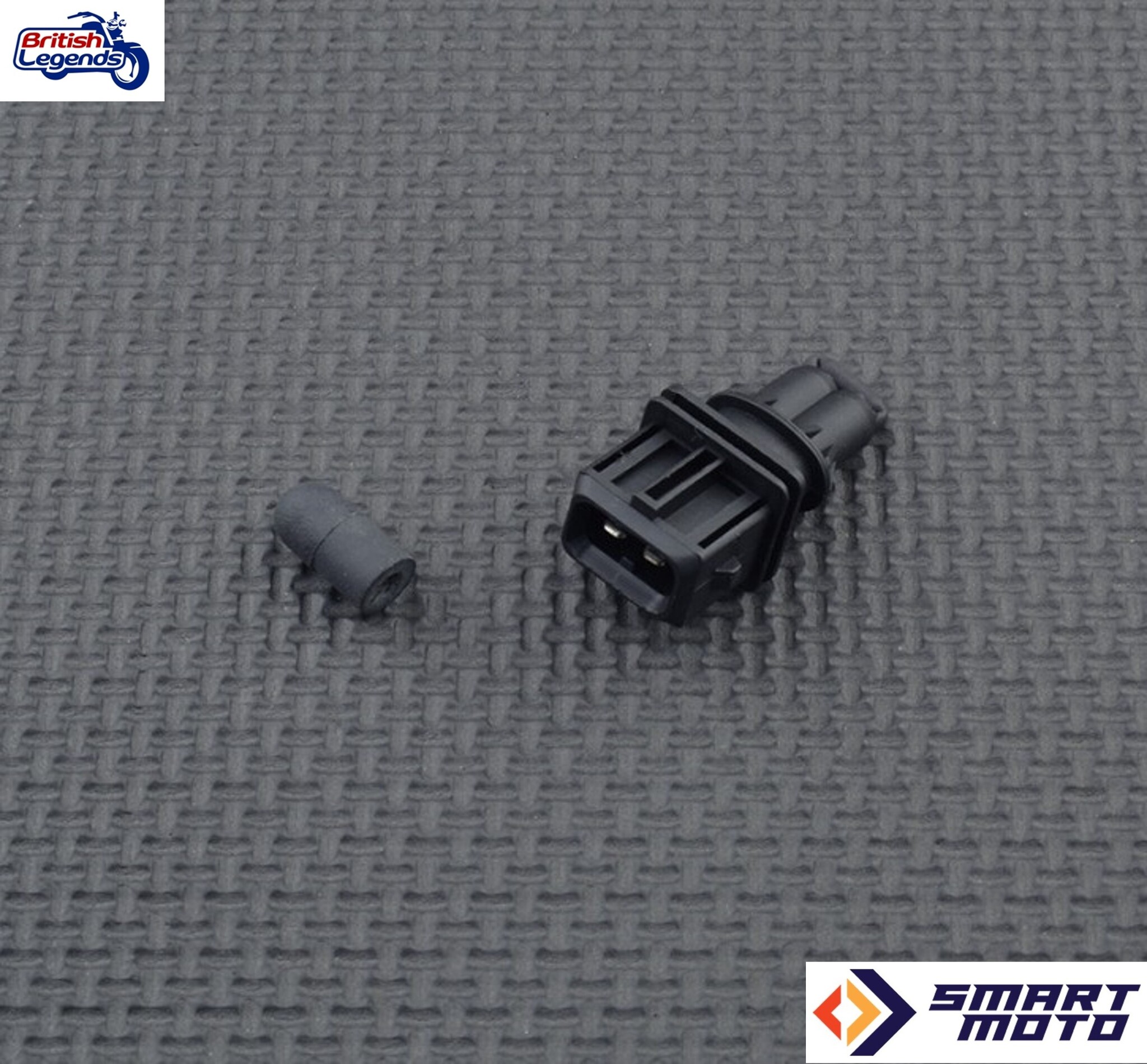 Elimination du Système EVAP sur Royal-Enfield