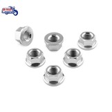 Juego de Seis Tuercas de Corona de Inox